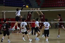 进化末路 《幻塔》四周年5.6版本今日上线